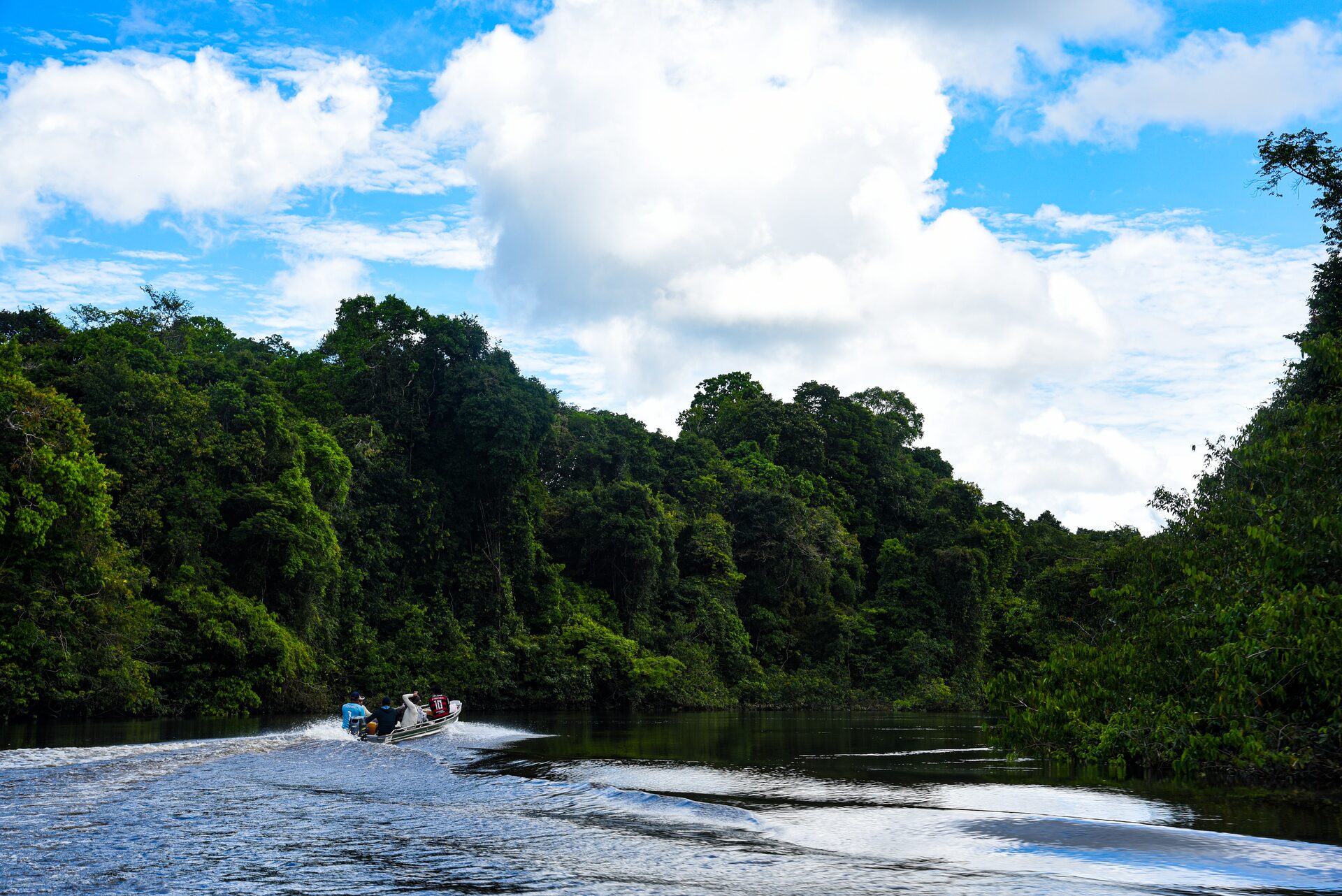 Paisagem do Alto Rio Negro