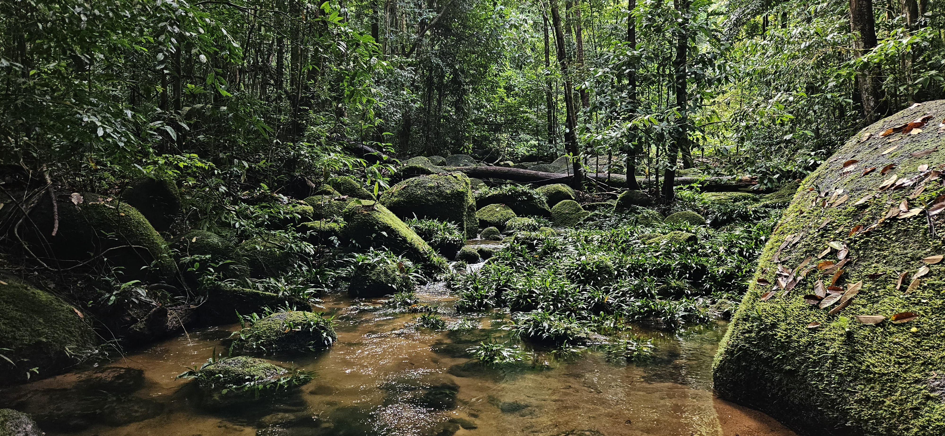 Foto da expedição 8