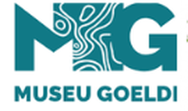 Logo MPEG