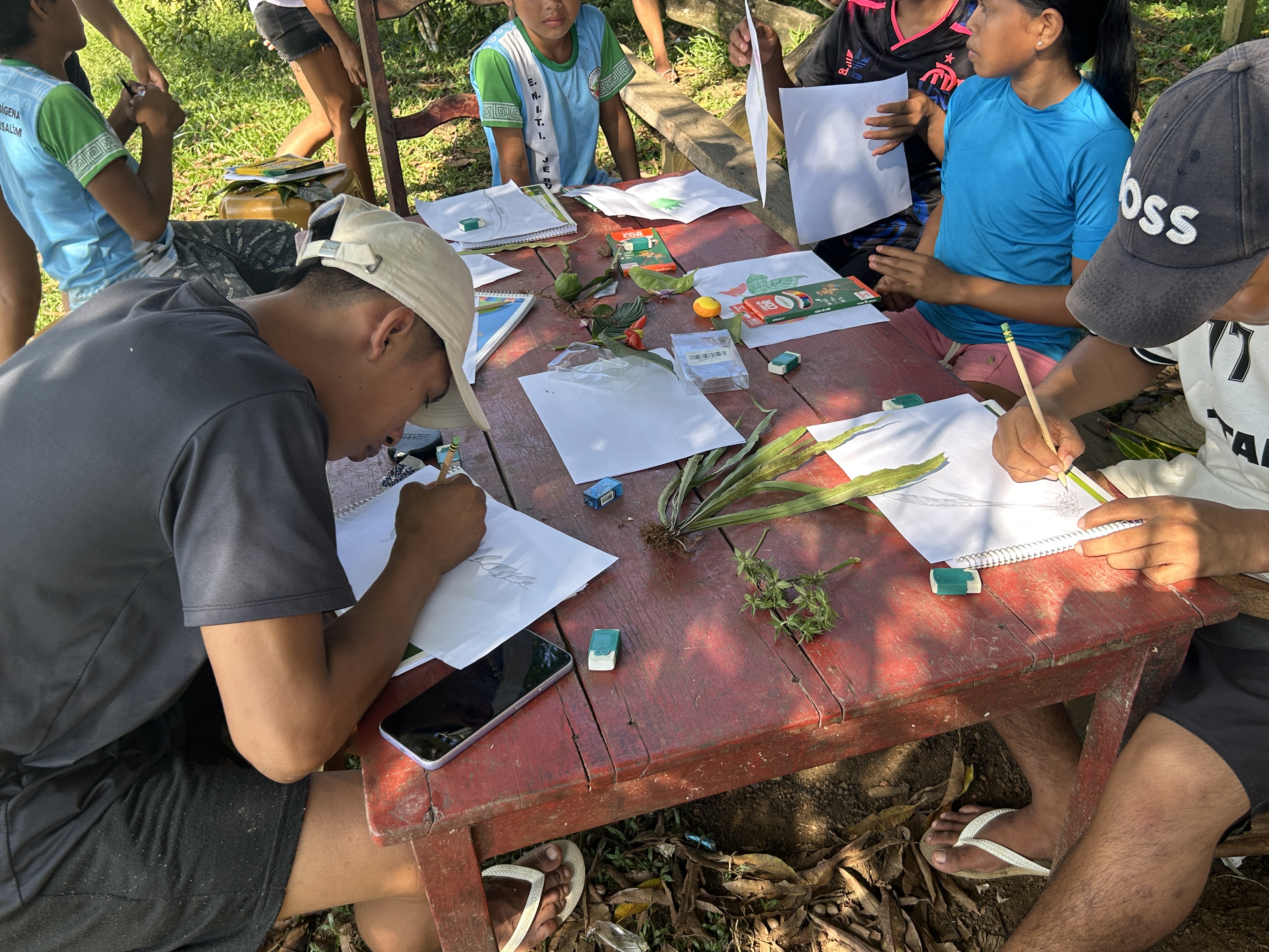 Trabalho de campo com comunidades indígenas locais