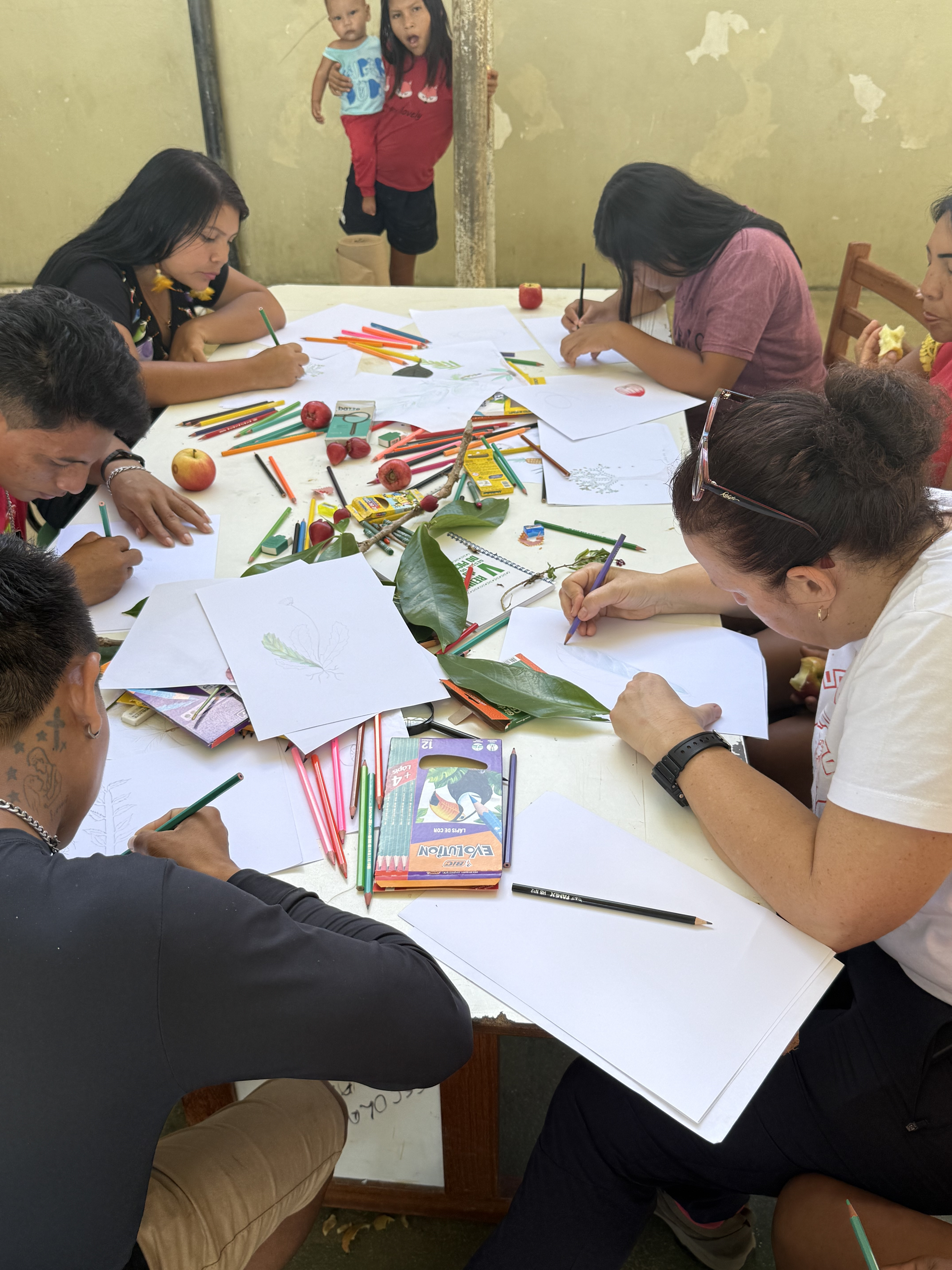 Registro científico e taxonômico de plantas e fungos